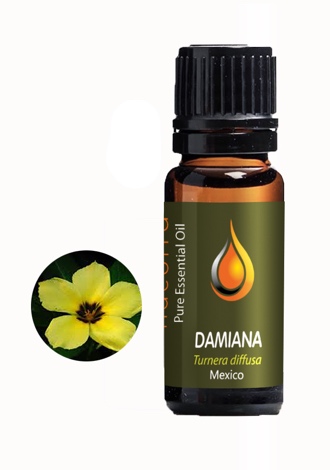 Damiana (Turnera diffusa)