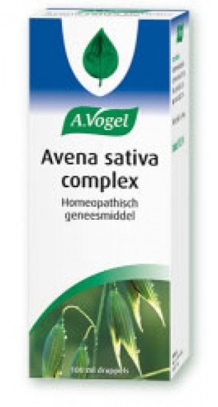 Avena sativa