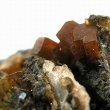 Kalium arsenicosum - калиум арсеникозум