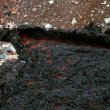 Hekla lava - базальтовая лава 