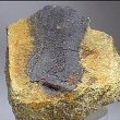 Selenium - Селен