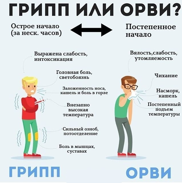 отличия ОРВИ и гриппа? 
