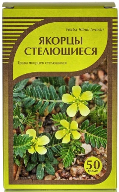 Якорцы трава.